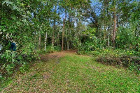 Villa ou maison à vendre à Thonotosassa, Floride: 3 chambres, 191.75 m2 № 1754438 - photo 25
