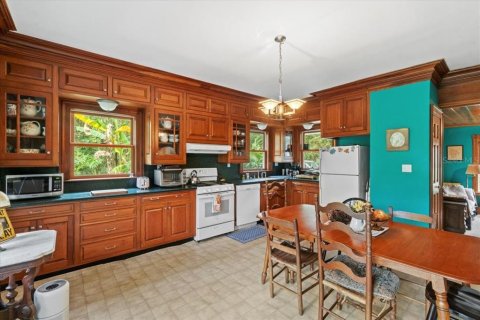 Villa ou maison à vendre à Thonotosassa, Floride: 3 chambres, 191.75 m2 № 1754438 - photo 13