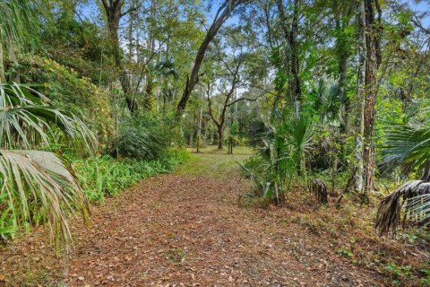 Villa ou maison à vendre à Thonotosassa, Floride: 3 chambres, 191.75 m2 № 1754438 - photo 27