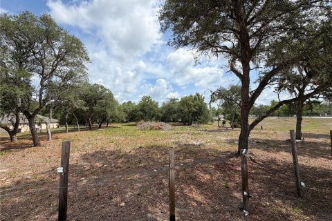 Terrain à vendre à Ocala, Floride № 2102219 - photo 5