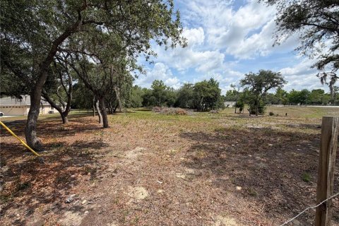 Terrain à vendre à Ocala, Floride № 2102219 - photo 6