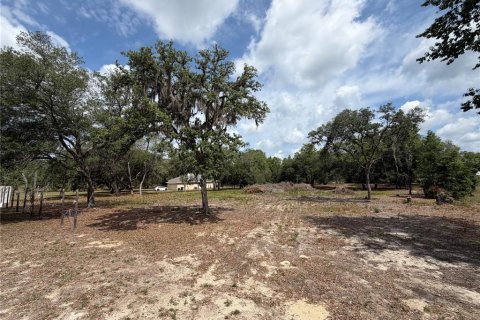 Terrain à vendre à Ocala, Floride № 2102219 - photo 3