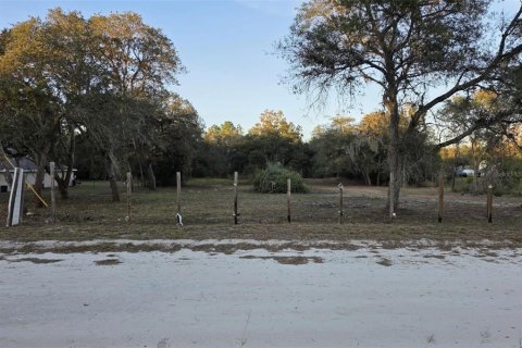 Terrain à vendre à Ocala, Floride № 2102219 - photo 8