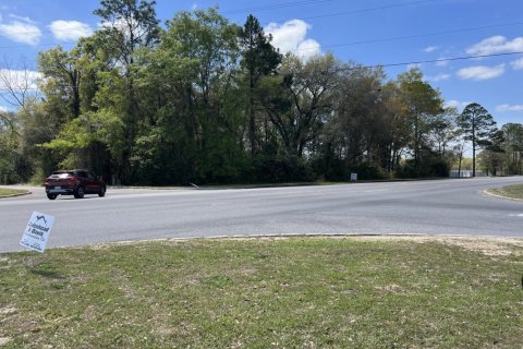 Land in Crestview, Florida № 560207 - photo 1