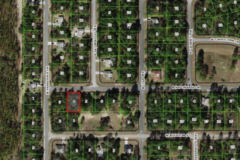 Land in Citrus Springs, Florida № 2161540