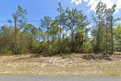 Land in Citrus Springs, Florida № 2161540 - photo 2