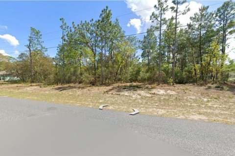 Land in Citrus Springs, Florida № 2161540 - photo 4