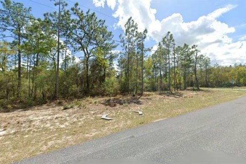 Land in Citrus Springs, Florida № 2161540 - photo 3
