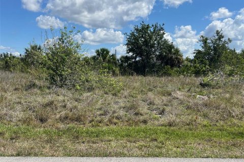 Land in Port Charlotte, Florida № 2109978