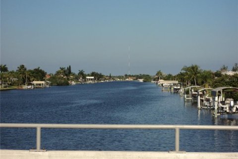 Land in Port Charlotte, Florida № 2109978 - photo 5
