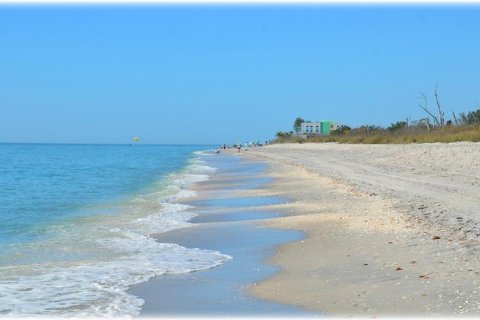 Land in Port Charlotte, Florida № 2109978 - photo 8