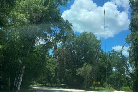 Terreno en venta en Williston, Florida № 1802097 - foto 6
