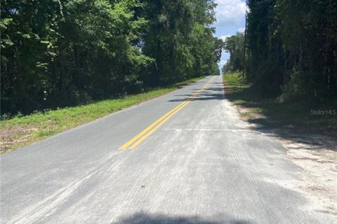 Terreno en venta en Williston, Florida № 1802097 - foto 7
