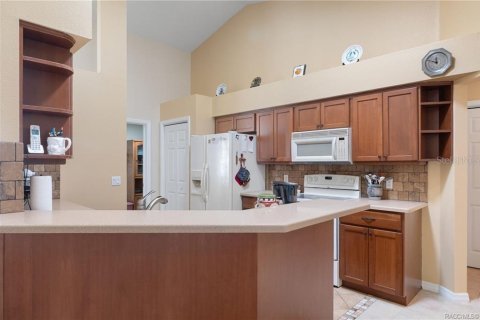 Villa ou maison à vendre à Hernando, Floride: 3 chambres, 164.62 m2 № 2389302 - photo 11