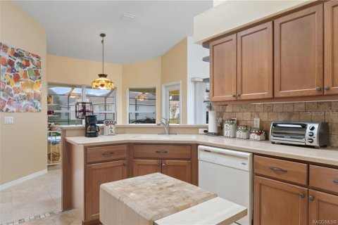 Villa ou maison à vendre à Hernando, Floride: 3 chambres, 164.62 m2 № 2389302 - photo 13