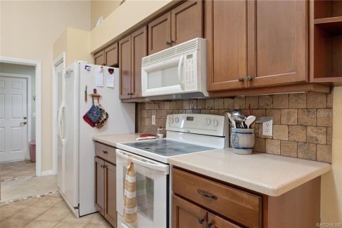 Villa ou maison à vendre à Hernando, Floride: 3 chambres, 164.62 m2 № 2389302 - photo 14