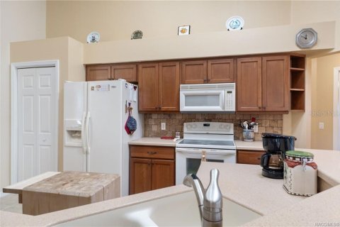 Villa ou maison à vendre à Hernando, Floride: 3 chambres, 164.62 m2 № 2389302 - photo 12