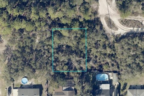 Land in DeLand, Florida № 2391696