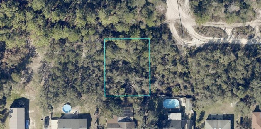 Land in DeLand, Florida № 2391696
