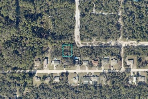 Land in DeLand, Florida № 2391696 - photo 2