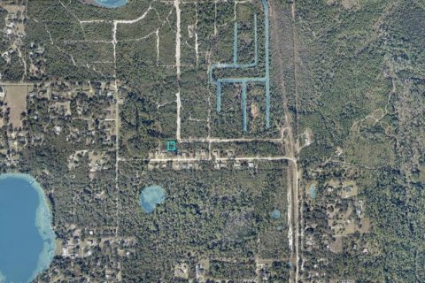 Land in DeLand, Florida № 2391696 - photo 3