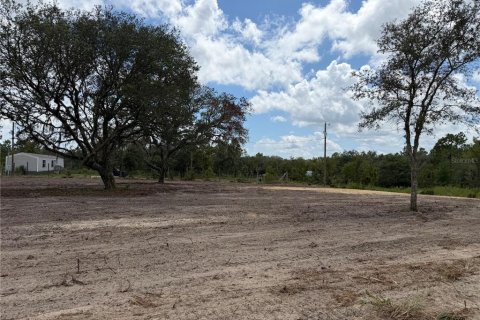 Land in Bronson, Florida № 2329538
