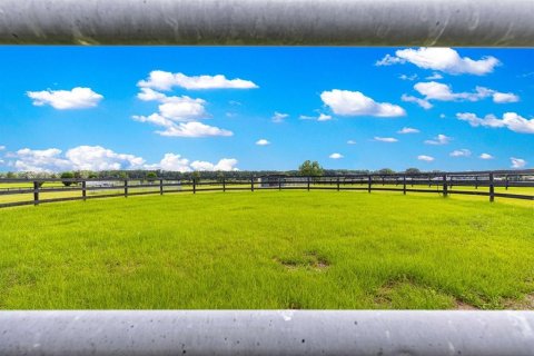 Casa en venta en Anthony, Florida, 4 dormitorios, 568.84 m2 № 1824457 - foto 13