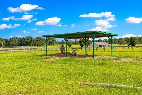 Casa en venta en Anthony, Florida, 4 dormitorios, 568.84 m2 № 1824457 - foto 27