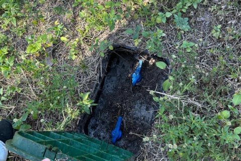 Propiedad comercial en venta en Loxahatchee Groves, Florida № 2006331 - foto 19