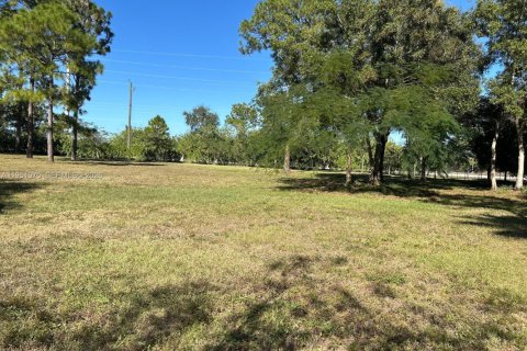 Propiedad comercial en venta en Loxahatchee Groves, Florida № 2006331 - foto 4