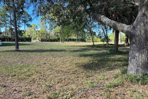 Propiedad comercial en venta en Loxahatchee Groves, Florida № 2006331 - foto 6