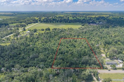 Land in Fish Hawk, Florida № 2279809