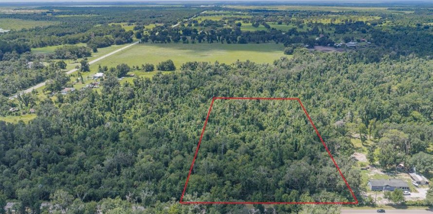 Land in Fish Hawk, Florida № 2279809