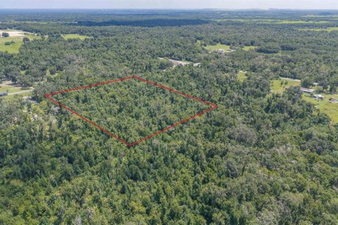 Land in Fish Hawk, Florida № 2279809 - photo 9