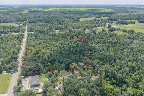 Land in Fish Hawk, Florida № 2279809 - photo 3