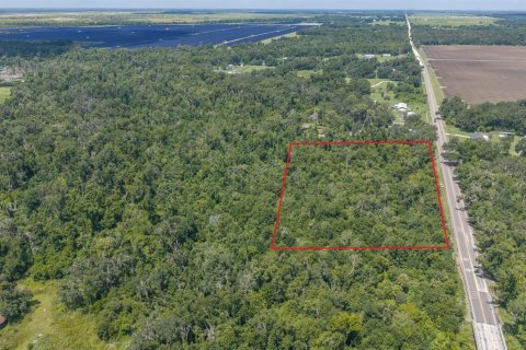 Land in Fish Hawk, Florida № 2279809 - photo 6
