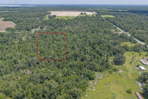 Land in Fish Hawk, Florida № 2279809 - photo 4