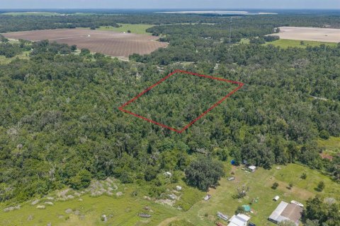 Land in Fish Hawk, Florida № 2279809 - photo 5