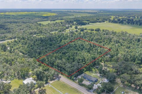 Land in Fish Hawk, Florida № 2279809 - photo 2