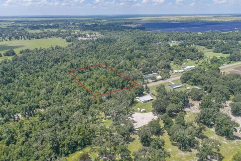 Land in Fish Hawk, Florida № 2279809 - photo 8