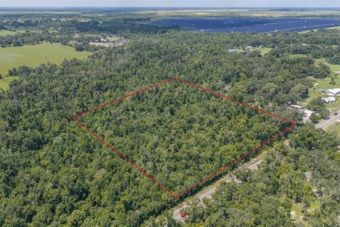 Land in Fish Hawk, Florida № 2279809 - photo 7