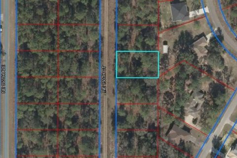 Terreno en Williston, Florida № 2164392