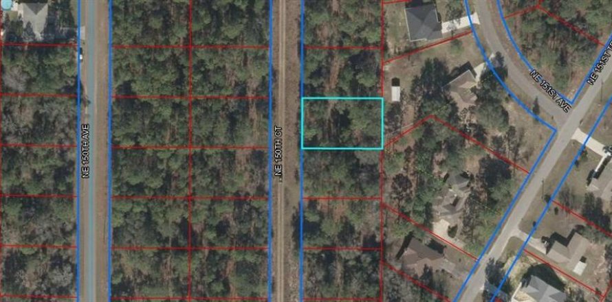 Land in Williston, Florida № 2164392