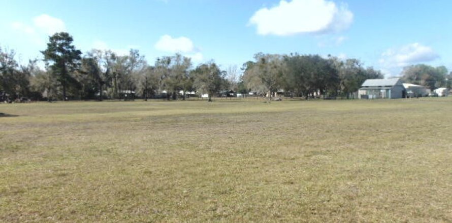 Land in Palatka, Florida № 766348