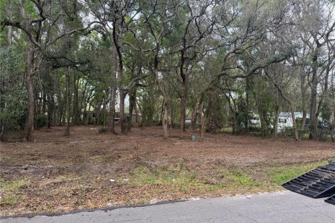 Land in Trenton, Florida № 1798676 - photo 2