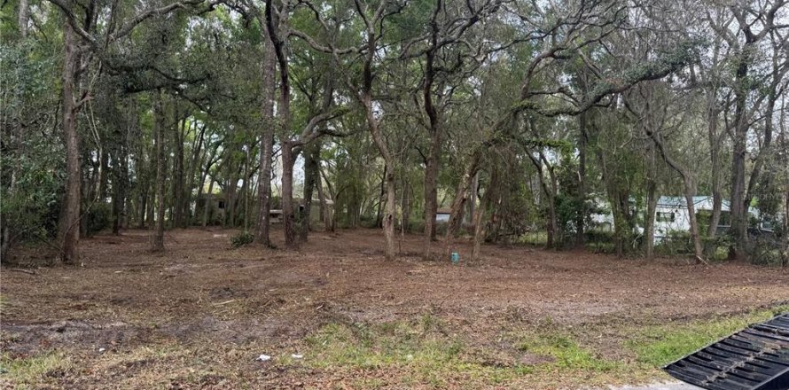 Land in Trenton, Florida № 1798676