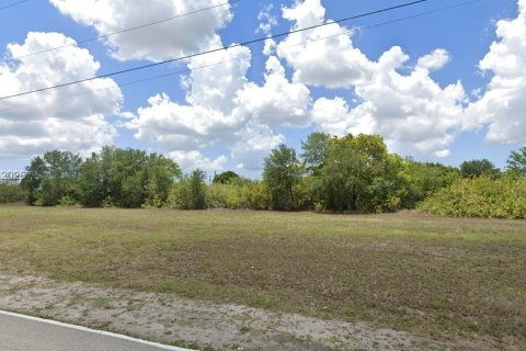Land in Cape Coral, Florida № 2075636