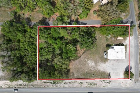 Commercial property in Dade City, Florida 191.38 sq.m. № 2106479 - photo 2