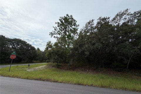 Terrain à Ocala, Floride № 2317228