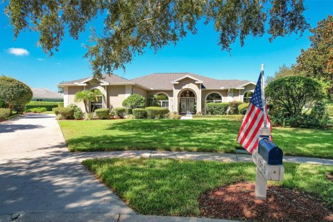 Villa ou maison à vendre à Valrico, Floride: 4 chambres, 244.61 m2 № 1910550 - photo 3